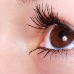 La vista - Anatomia oculare